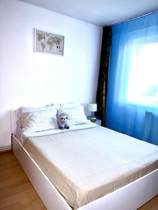 Ap 2 Cam Confortabile - Ab House Iasi Exterior photo